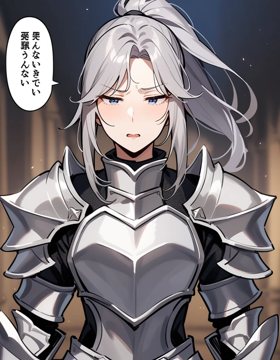 Beautiful girl knight in armor, Gray Hair, tsurime, fantastic, Face your body forward like a certificate photo, shoot from front, Ponytail, Armor Girl, beautiful female knight, Female Paladin, pale blue eyes, narrowed eyes squint, Talking mouth