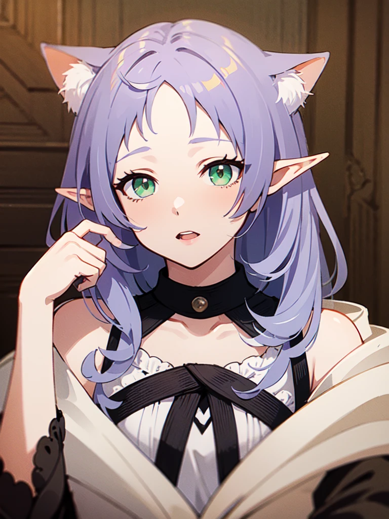 ((best quality)), ((masterpiece)), (detailed), perfect face. Asian girl. Light purple hair. Long hair. Elf. Green eyes.Cat ears