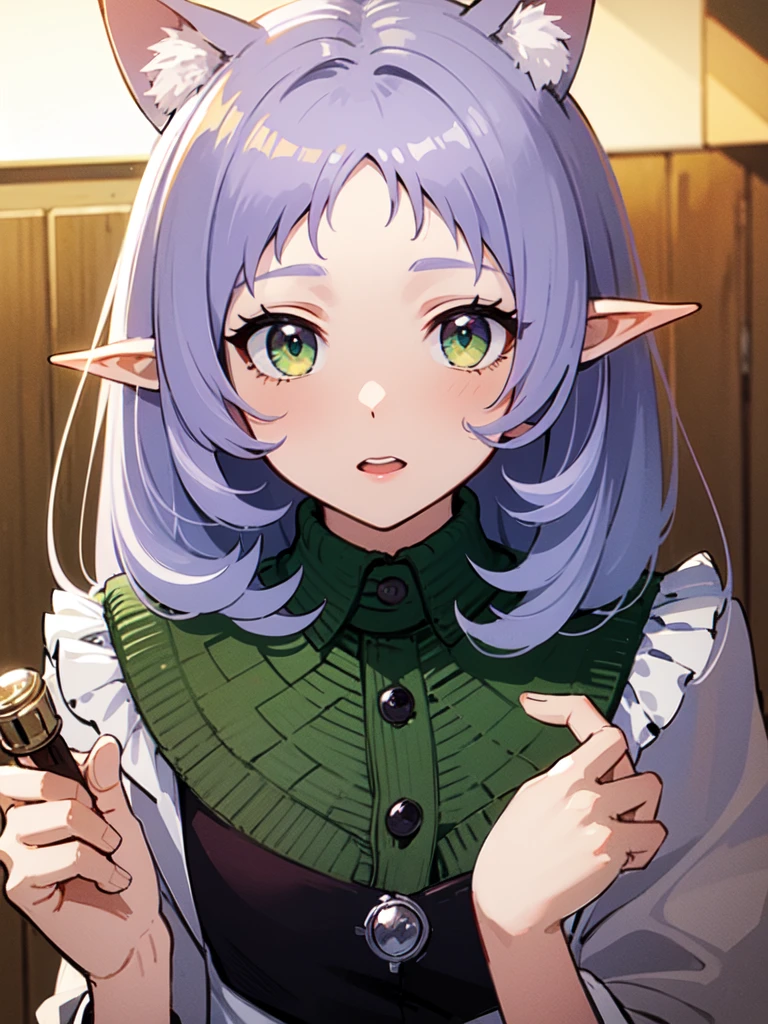 ((best quality)), ((masterpiece)), (detailed), perfect face. Asian girl. Light purple hair. Long hair. Elf. Green eyes.Cat ears