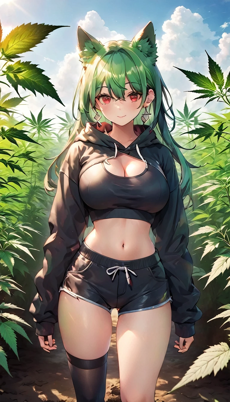 , Croped, , cleavage, slim waist, cropped hoodie underboob, cropped hoodieunderboobhoodie, 1girl, 2 wolf ears, wolf tail, marijuana crop hoodie, crop shorts, marijuana hoodie, spiky hair, spiky fur, green hair, red eyes,marijuana field, tight clothes, perfect eyes, perfect hands, clear resolution, full body, cleavage skin, marijuana plants, open hoodie, marijuana field, black thigh high socks, full body, earrings, 1girl, skirt, cleavage, slim waist, cleavage, slim waist, hair pulled back, big breast, round butt, slim waist, best quality, thick thighs, D-cup breast,