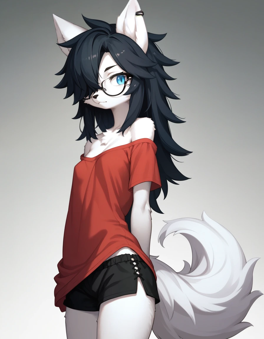 Score_9, kemono style, (black wolf ear tips):2, blend in with character