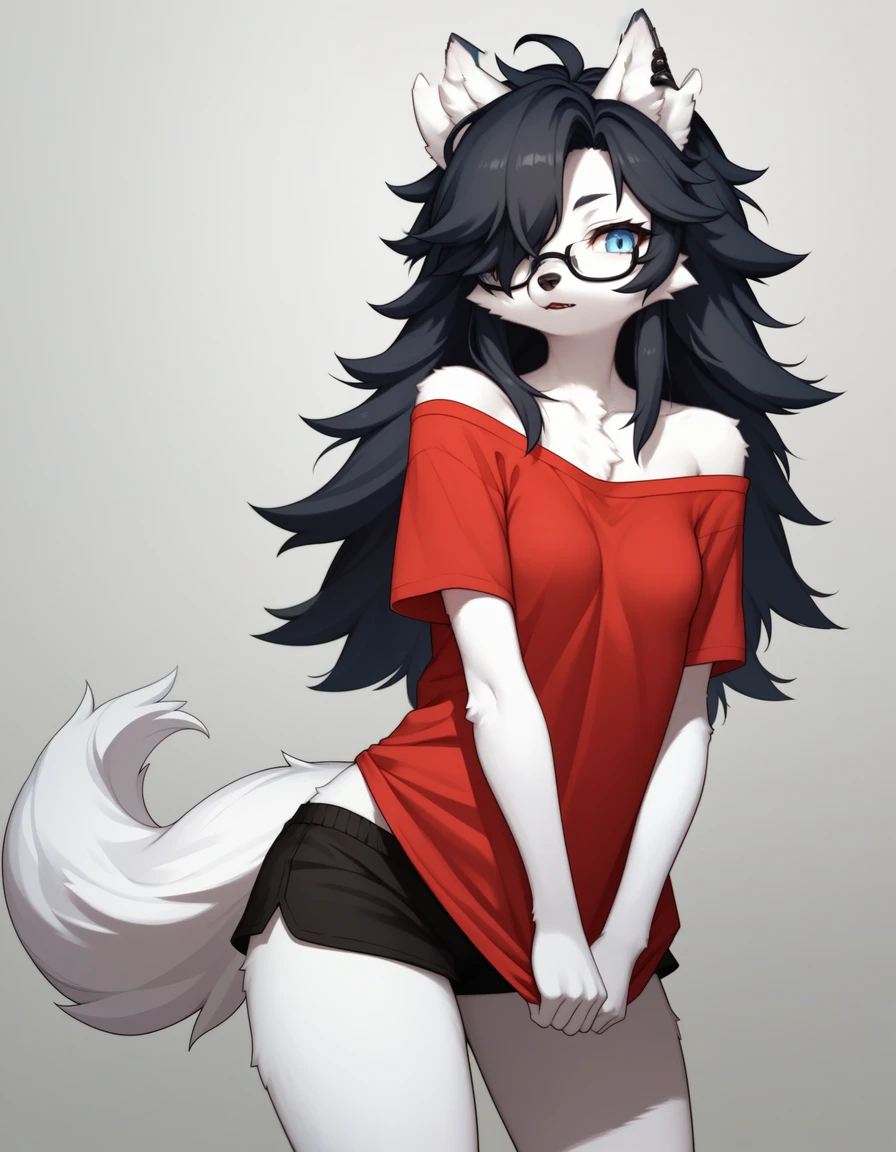 Score_9, kemono style, (black wolf ear tips):2, blend in with character