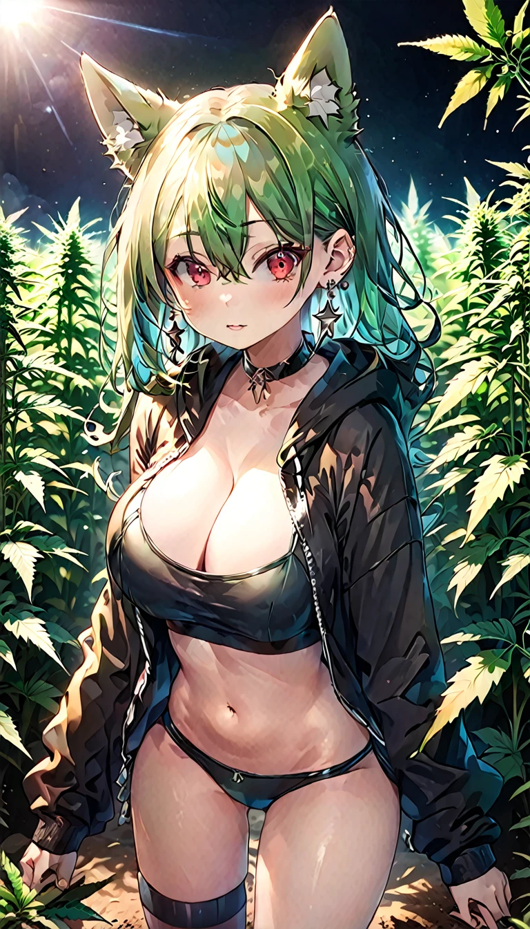 , Croped, , cleavage, slim waist, cropped hoodie underboob, cropped hoodieunderboobhoodie, 1girl, 2 wolf ears, wolf tail, marijuana crop hoodie, crop shorts, marijuana hoodie, spiky hair, spiky fur, green hair, red eyes,marijuana field, tight clothes, perfect eyes, perfect hands, clear resolution, full body, cleavage skin, marijuana plants, open hoodie, marijuana field, black thigh high socks, full body, earrings, 1girl, skirt, cleavage, slim waist, cleavage, slim waist, hair pulled back, big breast, round butt, slim waist, best quality, thick thighs, D-cup breast,