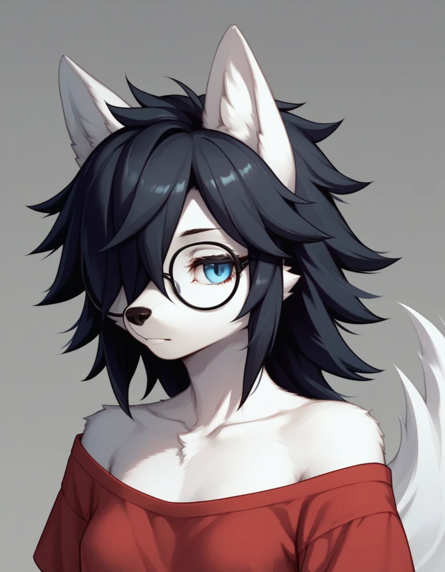 Solo, score_9,score_8_up,score_7_up, kemono style,  a young nerdy Anthro furry wolf woman, wolf snout, white furry body, tall, long black messy hair, black hair, hair in a pony tail, hair covering one eye, white wolf tail, blue eyes, white wolf ears, white wolf tail, small breasts, wearing oversized red shirt, exposed shoulder, black square thick rimmed glasses, portrait, close up, expressionless