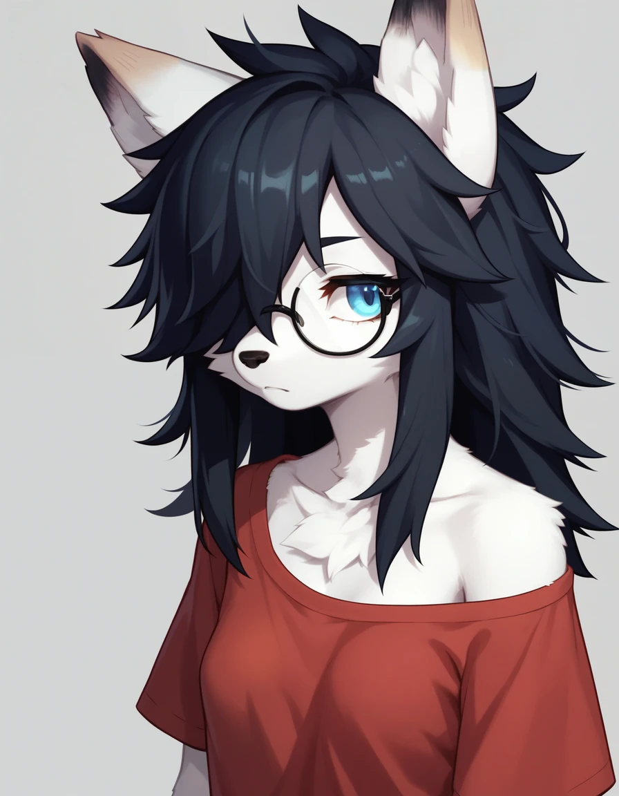 Score_9, kemono style, (black wolf ear tips):2, blend in with character