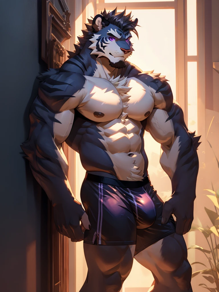 bara white tiger furry leaning on wall wearing only tight purple boxer briefs, tall, massive pecs, broad shoulders, sultry gaze, purple eyes, smirking at camera seductively, sultry teasing gaze, one hand on his thigh near his bulge, running his hand through his hair, long legs, looking at viewer, slight side view, huge bulge, side view, bedroom, sunlight casting over,Bara, Furry, dynamic shading