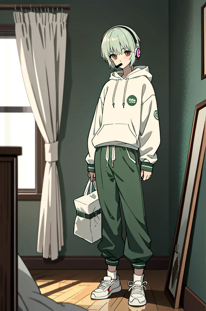 best quality, high quality, 1 boy, alone, 18 years old, looking at viewer, green and white hair, brown eyes, bangs, lollipop in mouth, hoodie, headphones, baggy pants, socks, in bedroom