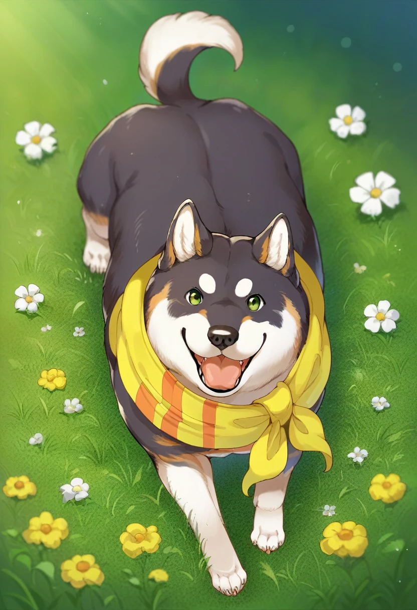 score_9, score_8_superior, score_7_superior, ,Anime Style,evaluation_Safety,break, shibakuroi, dog, 柴dog, animal, Yellow scarf, grass, View your viewers,