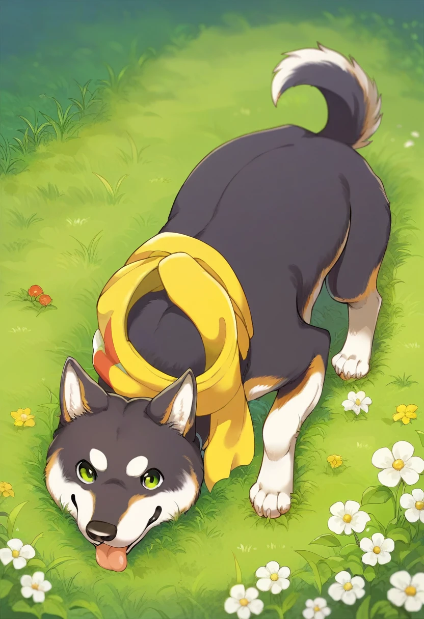 score_9, score_8_superior, score_7_superior, ,Anime Style,evaluation_Safety,break, shibakuroi, dog, 柴dog, animal, Yellow scarf, grass, View your viewers,