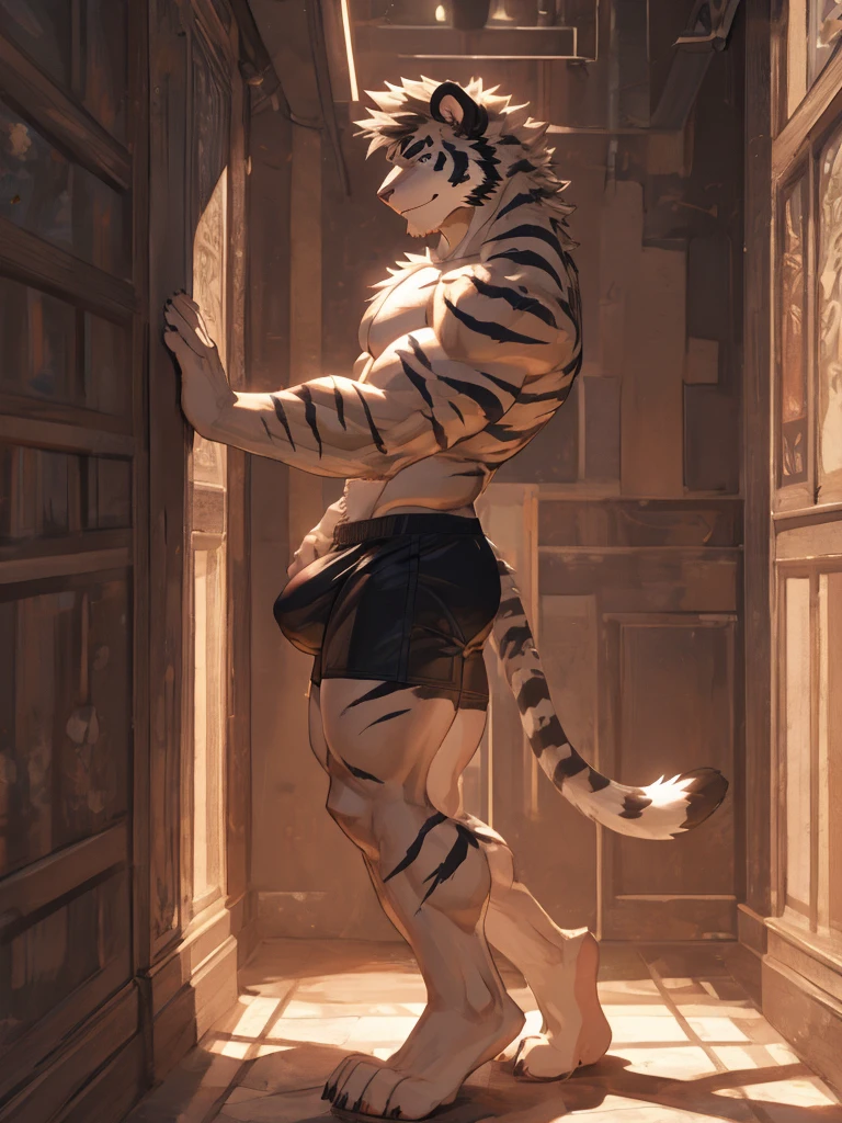 bara handsome white tiger furry leaning on wall wearing only tight boxer briefs, tall, massive pecs, broad shoulders, sultry gaze, purple eyes, smirking at camera seductively, sultry teasing gaze, one hand on his thigh near his bulge, running his hand through his hair, long legs, looking at viewer, slight side view, huge bulge, side view, bedroom, sunlight casting over,Bara, Furry, dynamic shading, nsfw