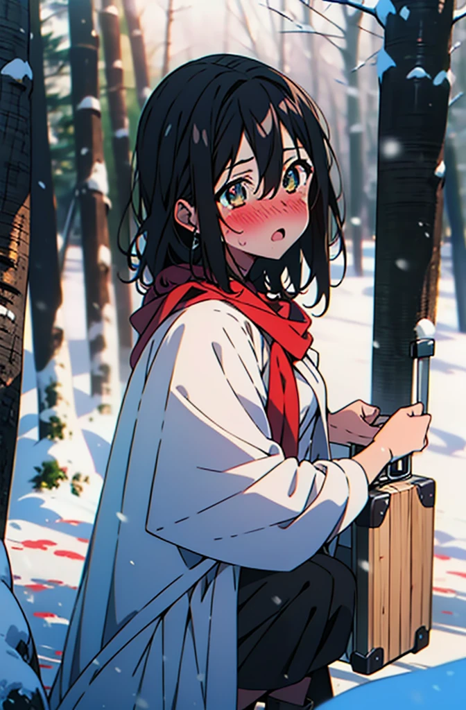Himeragi Yukina, Brown eyes, Black Hair, Hair between the eyes, Medium Hair, Medium chest,blush,White Breath,
Open your mouth,snow,Ground bonfire, Outdoor, boots, snowing, From the side, wood, suitcase, Cape, Blurred, forest, White handbag, nature, Squat, Mouth closed, Cape, winter, Written boundary depth, Black shoes, red Cape break looking at viewer, Upper Body, whole body, break Outdoor, forest, nature, break (masterpiece:1.2), Highest quality, High resolution, unity 8k wallpaper, (shape:0.8), (Beautiful and beautiful eyes:1.6), Highly detailed face, Perfect lighting, Extremely detailed CG, (Perfect hands, Perfect Anatomy),
