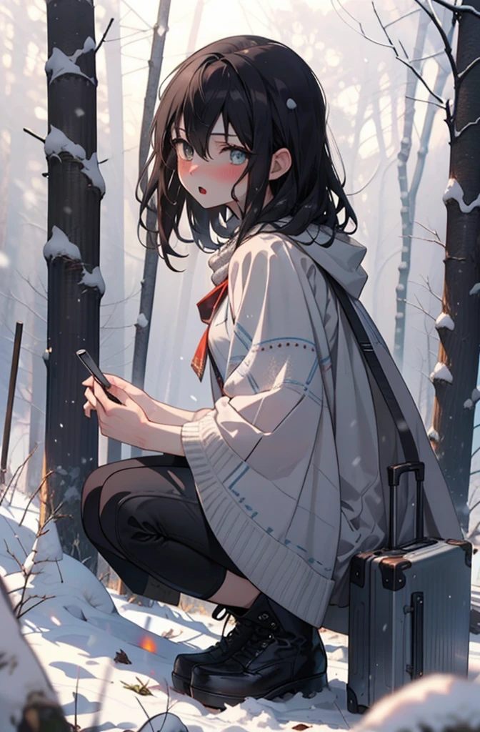 Himeragi Yukina, Brown eyes, Black Hair, Hair between the eyes, Medium Hair, Medium chest,blush,White Breath,
Open your mouth,snow,Ground bonfire, Outdoor, boots, snowing, From the side, wood, suitcase, Cape, Blurred, forest, White handbag, nature,  Squat, Mouth closed, Cape, winter, Written boundary depth, Black shoes, red Cape break looking at viewer, Upper Body, whole body, break Outdoor, forest, nature, break (masterpiece:1.2), Highest quality, High resolution, unity 8k wallpaper, (shape:0.8), (Beautiful and beautiful eyes:1.6), Highly detailed face, Perfect lighting, Extremely detailed CG, (Perfect hands, Perfect Anatomy),