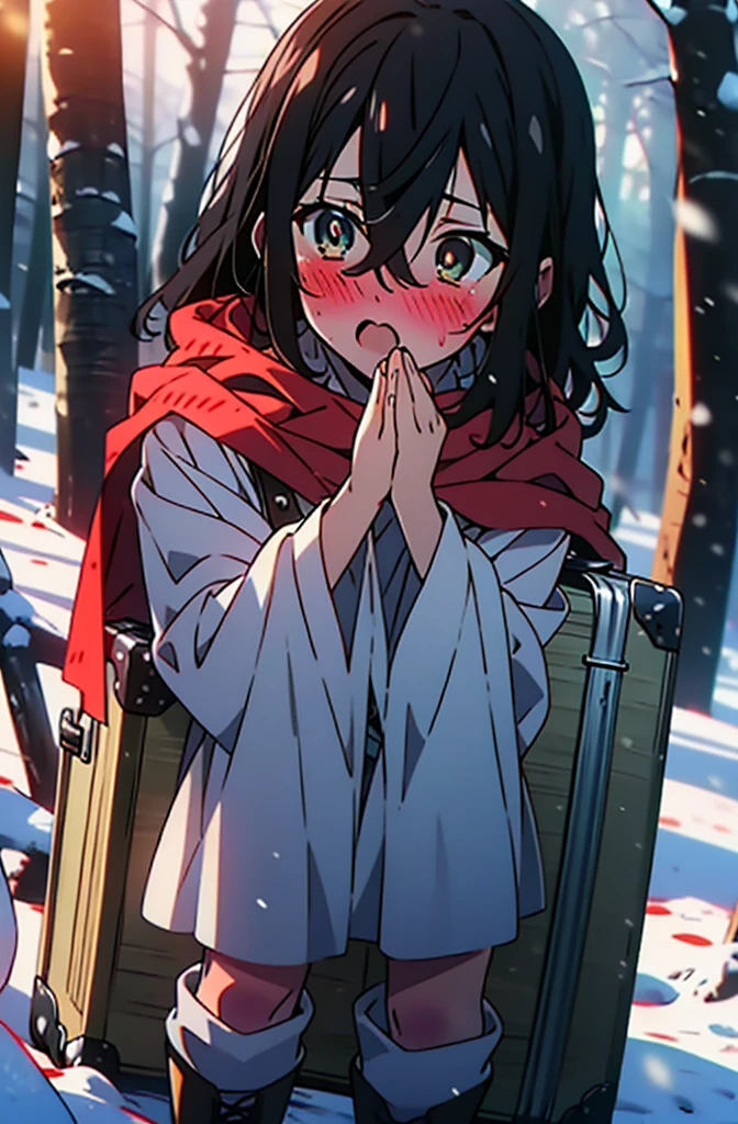 Himeragi Yukina, Brown eyes, Black Hair, Hair between the eyes, Medium Hair, Medium chest,blush,White Breath,
Open your mouth,snow,Ground bonfire, Outdoor, boots, snowing, From the side, wood, suitcase, Cape, Blurred, forest, White handbag, nature, Squat, Mouth closed, Cape, winter, Written boundary depth, Black shoes, red Cape break looking at viewer, Upper Body, whole body, break Outdoor, forest, nature, break (masterpiece:1.2), Highest quality, High resolution, unity 8k wallpaper, (shape:0.8), (Beautiful and beautiful eyes:1.6), Highly detailed face, Perfect lighting, Extremely detailed CG, (Perfect hands, Perfect Anatomy),