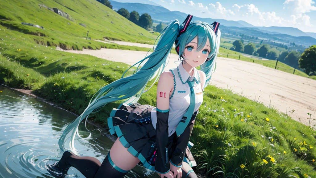 There is Hatsune Miku and an Irish meadow in the background.。