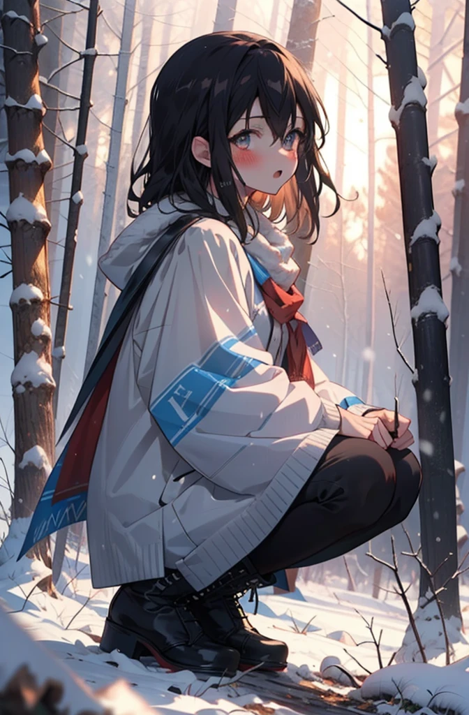 Himeragi Yukina, Brown eyes, Black Hair, Hair between the eyes, Medium Hair, Medium chest,blush,White Breath,
Open your mouth,snow,Ground bonfire, Outdoor, boots, snowing, From the side, wood, suitcase, Cape, Blurred, forest, White handbag, nature,  Squat, Mouth closed, Cape, winter, Written boundary depth, Black shoes, red Cape break looking at viewer, Upper Body, whole body, break Outdoor, forest, nature, break (masterpiece:1.2), Highest quality, High resolution, unity 8k wallpaper, (shape:0.8), (Beautiful and beautiful eyes:1.6), Highly detailed face, Perfect lighting, Extremely detailed CG, (Perfect hands, Perfect Anatomy),