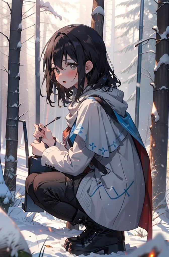 Himeragi Yukina, Brown eyes, Black Hair, Hair between the eyes, Medium Hair, Medium chest,blush,White Breath,
Open your mouth,snow,Ground bonfire, Outdoor, boots, snowing, From the side, wood, suitcase, Cape, Blurred, forest, White handbag, nature,  Squat, Mouth closed, Cape, winter, Written boundary depth, Black shoes, red Cape break looking at viewer, Upper Body, whole body, break Outdoor, forest, nature, break (masterpiece:1.2), Highest quality, High resolution, unity 8k wallpaper, (shape:0.8), (Beautiful and beautiful eyes:1.6), Highly detailed face, Perfect lighting, Extremely detailed CG, (Perfect hands, Perfect Anatomy),