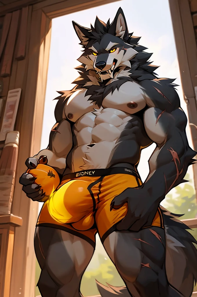 close up, furry, anthro, giant werewolf,wolf ears,wolf tail, dark grey and white fur, messy fur, neck floof, yellow glowing eyes, razor sharp teeth, sabertooth, long sabertooth, muscular body, handsome, monstrous, tall, standing in a cozy bedroom, looming over viewer, looking down at viewer, rubbing bulge, touching bulge, groping bulge, adjusting bulge, daytime, alone, wearing red boxer briefs with white lining, giant bulge, precum, body covered in scars, pawpads, black pawpads, best quality, 4K, UHD, masterpiece,