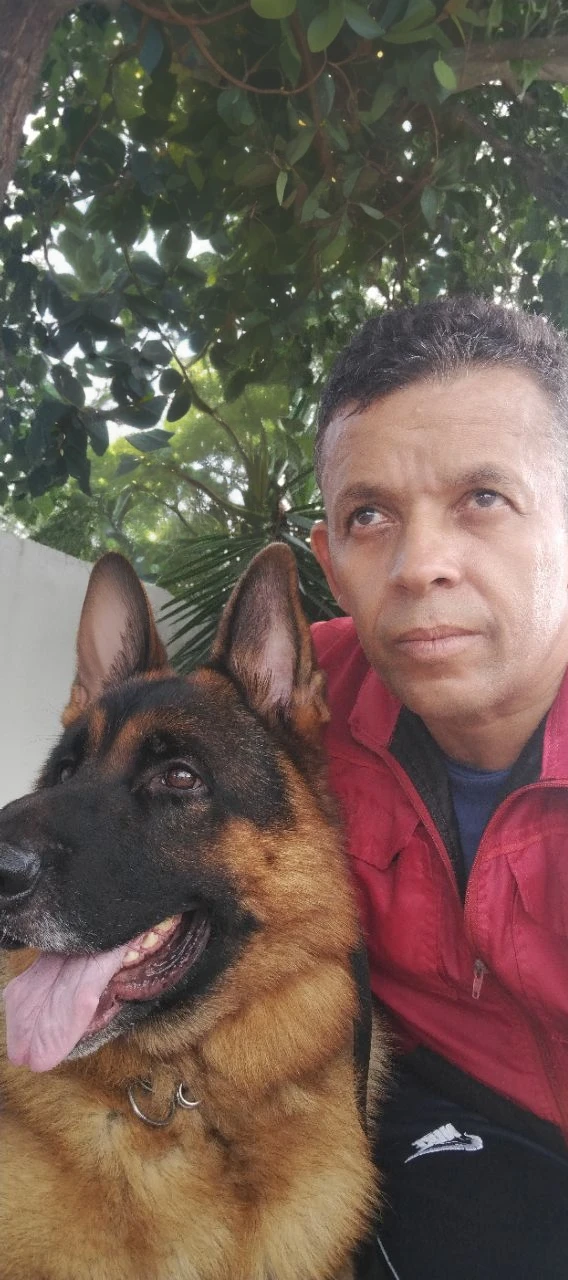 Retrato realista de um menino de sete anos, Ele usa uma camisa vermelha . Your face is and exploratory . Ele sai cautelosamente para o jardim da casa, A small cat is among the bushes and he touches it cautiously ,Not facing the camera,, Hair is messy ,