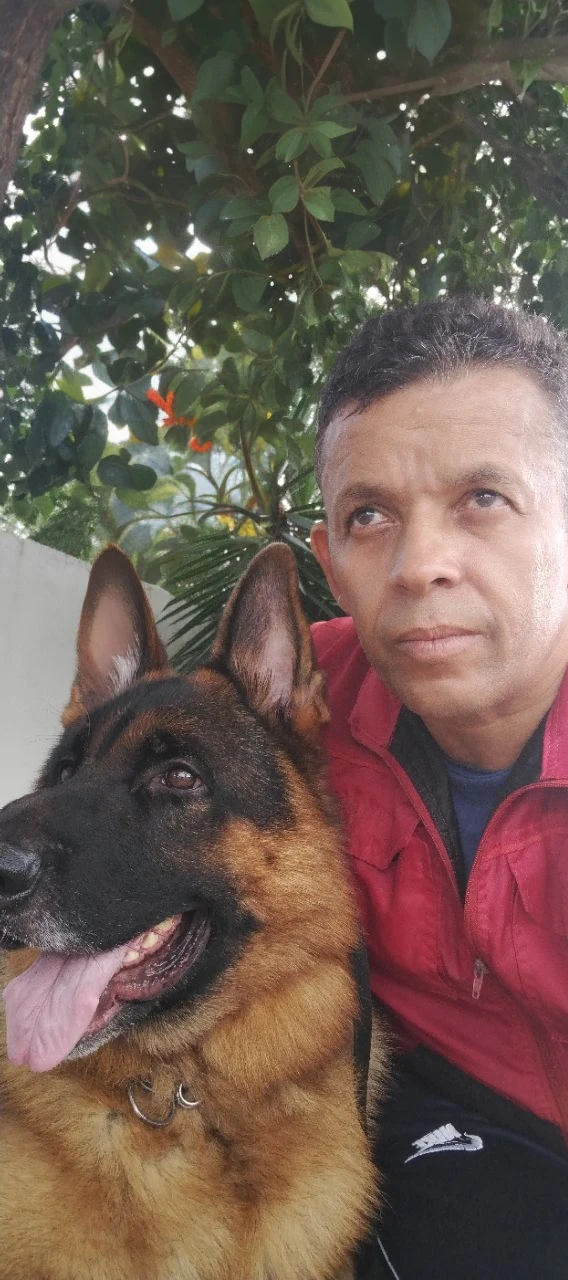 Retrato realista de um menino de sete anos, Ele usa uma camisa vermelha . Your face is and exploratory . Ele sai cautelosamente para o jardim da casa, A small cat is among the bushes and he touches it cautiously ,Not facing the camera,, Hair is messy ,