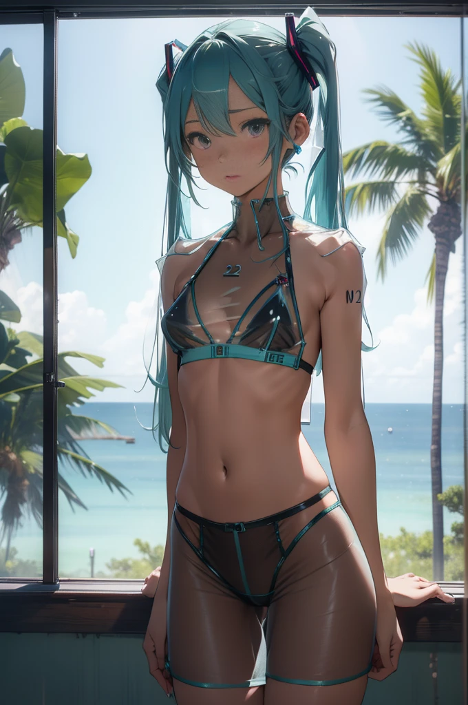 (quality)), ((masterpiece)), Recommended results、Puffy nipples、(see through:1.5)、straighten your back、abdominal muscles、huge bust、angle to floor:1.2、low camera angle、Hair loss on crotch、,Excellent Hatsune Miku