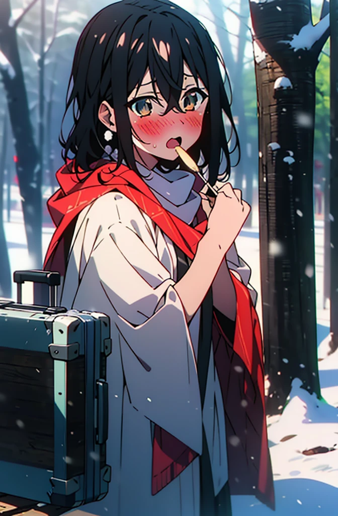 Himeragi Yukina, Brown eyes, Black Hair, Hair between the eyes, Medium Hair, Medium chest,blush,White Breath,
Open your mouth,snow,Ground bonfire, Outdoor, boots, snowing, From the side, wood, suitcase, Cape, Blurred, forest, White handbag, nature, Squat, Mouth closed, Cape, winter, Written boundary depth, Black shoes, red Cape break looking at viewer, Upper Body, whole body, break Outdoor, forest, nature, break (masterpiece:1.2), Highest quality, High resolution, unity 8k wallpaper, (shape:0.8), (Beautiful and beautiful eyes:1.6), Highly detailed face, Perfect lighting, Extremely detailed CG, (Perfect hands, Perfect Anatomy),