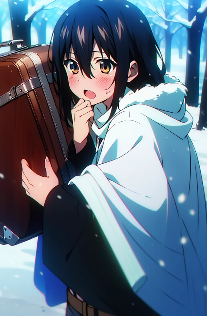 Himeragi Yukina, Brown eyes, Black Hair, Hair between the eyes, Medium Hair, Medium chest,blush,White Breath,
Open your mouth,snow,Ground bonfire, Outdoor, boots, snowing, From the side, wood, suitcase, Cape, Blurred, forest, White handbag, nature,  Squat, Mouth closed, Cape, winter, Written boundary depth, Black shoes, red Cape break looking at viewer, Upper Body, whole body, break Outdoor, forest, nature, break (masterpiece:1.2), Highest quality, High resolution, unity 8k wallpaper, (shape:0.8), (Beautiful and beautiful eyes:1.6), Highly detailed face, Perfect lighting, Extremely detailed CG, (Perfect hands, Perfect Anatomy),
