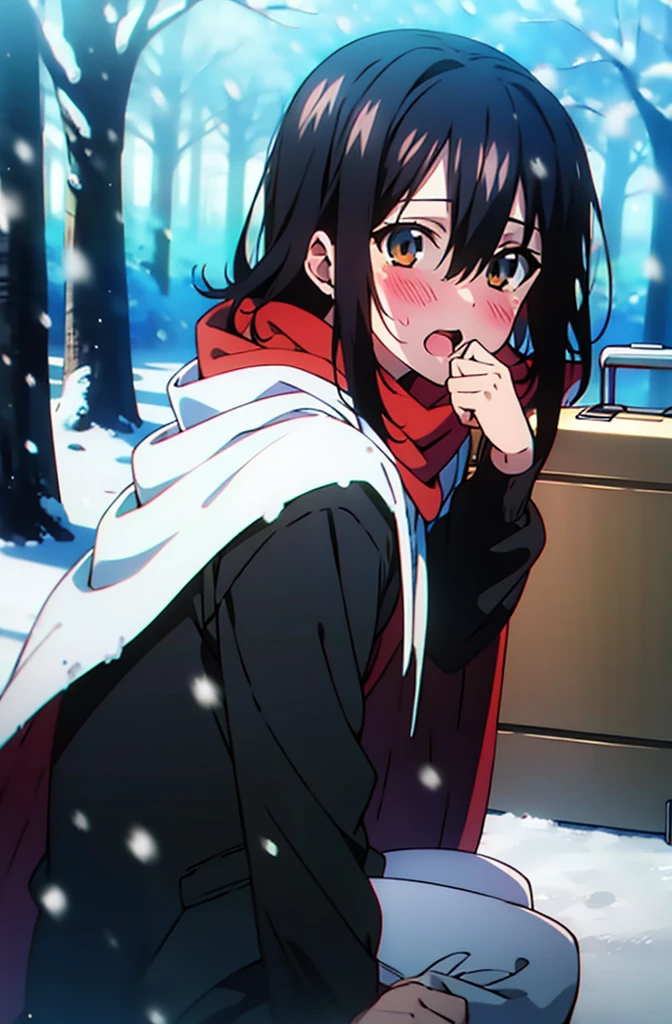 Himeragi Yukina, Brown eyes, Black Hair, Hair between the eyes, Medium Hair, Medium chest,blush,White Breath,
Open your mouth,snow,Ground bonfire, Outdoor, boots, snowing, From the side, wood, suitcase, Cape, Blurred, forest, White handbag, nature, Squat, Mouth closed, Cape, winter, Written boundary depth, Black shoes, red Cape break looking at viewer, Upper Body, whole body, break Outdoor, forest, nature, break (masterpiece:1.2), Highest quality, High resolution, unity 8k wallpaper, (shape:0.8), (Beautiful and beautiful eyes:1.6), Highly detailed face, Perfect lighting, Extremely detailed CG, (Perfect hands, Perfect Anatomy),