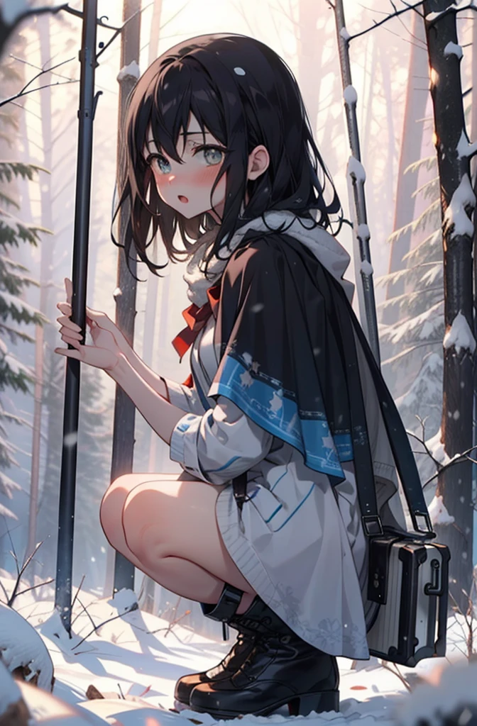 Himeragi Yukina, Brown eyes, Black Hair, Hair between the eyes, Medium Hair, Medium chest,blush,White Breath,
Open your mouth,snow,Ground bonfire, Outdoor, boots, snowing, From the side, wood, suitcase, Cape, Blurred, forest, White handbag, nature,  Squat, Mouth closed, Cape, winter, Written boundary depth, Black shoes, red Cape break looking at viewer, Upper Body, whole body, break Outdoor, forest, nature, break (masterpiece:1.2), Highest quality, High resolution, unity 8k wallpaper, (shape:0.8), (Beautiful and beautiful eyes:1.6), Highly detailed face, Perfect lighting, Extremely detailed CG, (Perfect hands, Perfect Anatomy),