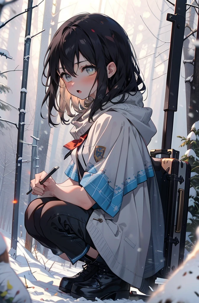 Himeragi Yukina, Brown eyes, Black Hair, Hair between the eyes, Medium Hair, Medium chest,blush,White Breath,
Open your mouth,snow,Ground bonfire, Outdoor, boots, snowing, From the side, wood, suitcase, Cape, Blurred, forest, White handbag, nature,  Squat, Mouth closed, Cape, winter, Written boundary depth, Black shoes, red Cape break looking at viewer, Upper Body, whole body, break Outdoor, forest, nature, break (masterpiece:1.2), Highest quality, High resolution, unity 8k wallpaper, (shape:0.8), (Beautiful and beautiful eyes:1.6), Highly detailed face, Perfect lighting, Extremely detailed CG, (Perfect hands, Perfect Anatomy),