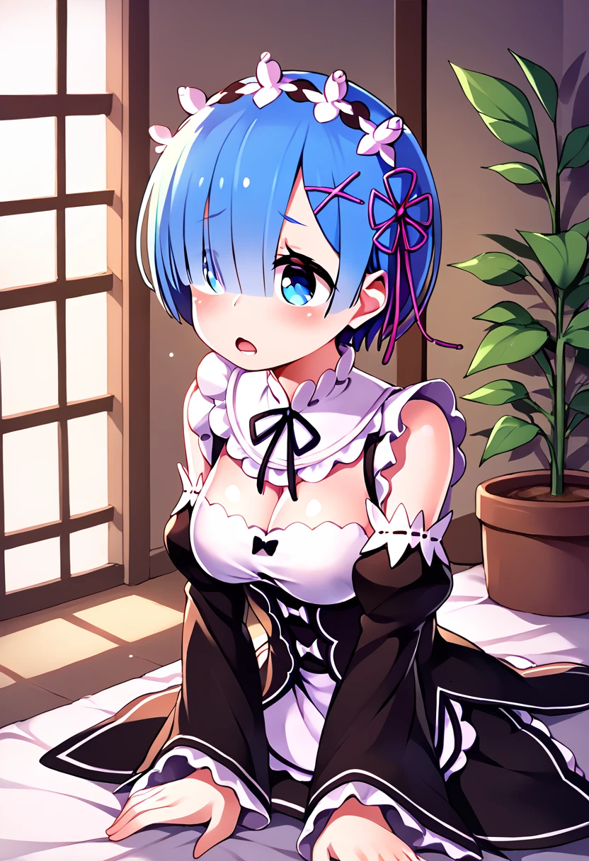 
score_9_up, score_8_up, score_7_up, source_anime,high resolution 
 
rem \(re:zero\)