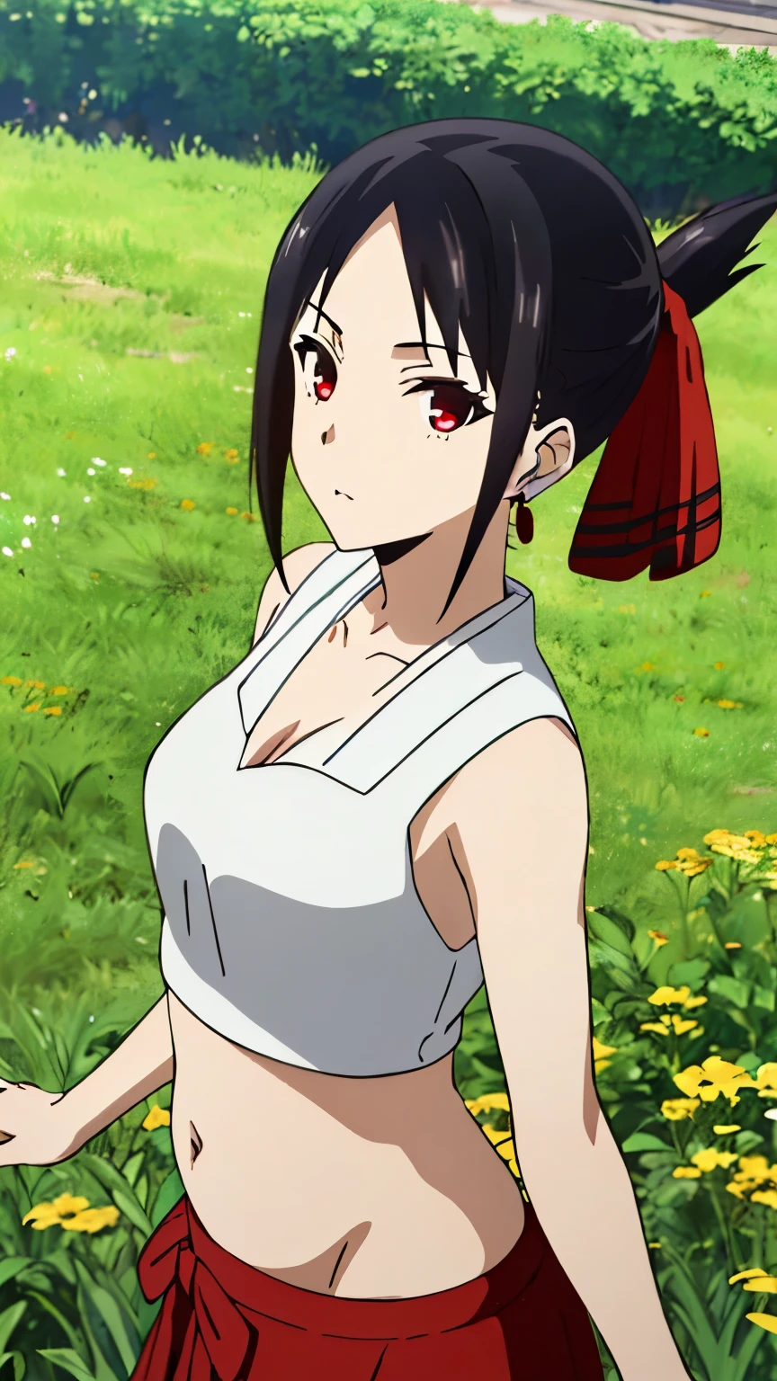 (best quality, masterpiece, 8k:1.2), detailed,
shinomiya kaguya,1girl, solo, black hair, red eyes, short hair, folded ponytail, red hair ribbon, (Belly Dancer, Reveal, Earrings, Accessory, Meadow),
looking at the viewer, medium breasts, dynamic Angle,