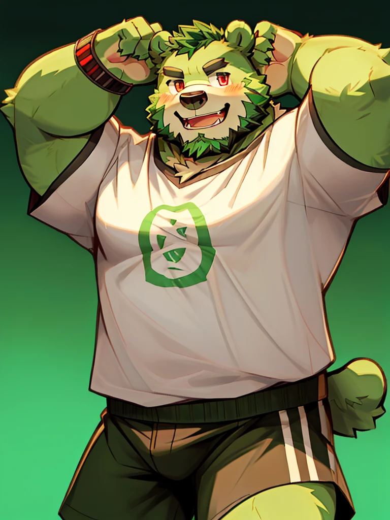 anthro, kemono, male, solo, (((green bear))), (((green fur))), green hair, red eyes, beard, white eyebrows, sexy, blush, wink, simple background, wear a white t-shirt, wave a big lgbt flag,