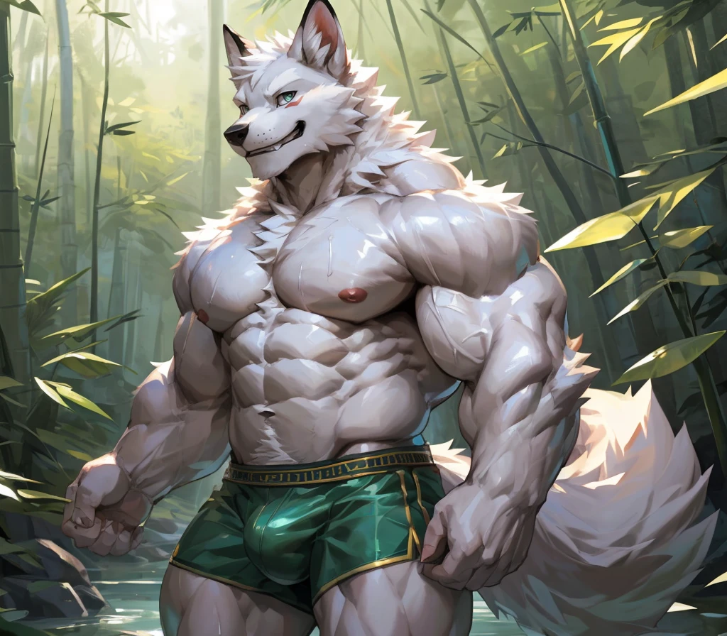 ((best quality)), ((masterpiece)), (ultra detailed), perfect face,(sharp eyes),sharp focus, (by null-ghost,by traver009,by lindong,by pino daeni),(male antro arctic fox):1.7,((white fur)), ((white belly)), (fox ears), sharp eye,ultra-detailed eyes, Beautiful and delicate eyes, ((green):0.1 eyes), ((fluffy fur, fluffy, furry body)),(wearing green shorts), muscular male , smile, (bulge), reflection, sexy body, middle-age, strong, looking at view, (((sfw:1.5))),(white fox tail, long fluffy tail), (abs, strong muscle, 6 pack), shirtless, claw, pink nipples, handsome, majestic,Delicate canine teeth, hairy, male, in the bamboo forest, anime , (full body view) sweating:1.7