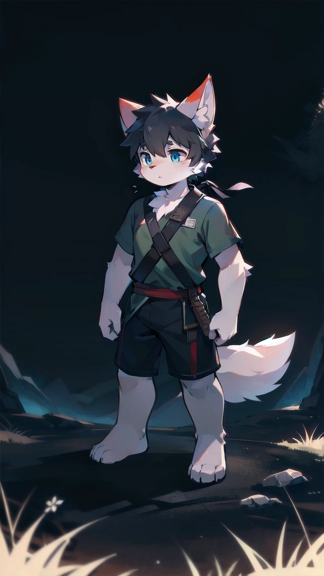 White Wolf,black hair,Sky blue eyes,hairy,Wolf ears,Wolf tail,Full body portrait,The character is in the center of the frame,Handsome,Confident eye***but,juvenile,Black and white combat uniform,Red neck bib,Black shorts,Short sleeve,hairy arms and legs,Dark background,Dark battlefield,dawn,sunrise,dawn,illumination,shadow,Swordsman,Scabbard and Hold the hilt of a in your hand,The scabbard is at the waist,Highest quality,A tall stature