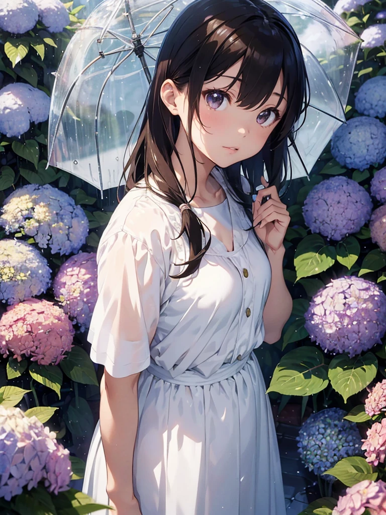 master piece, extremely detailed, high resolution, Makoto Shinkai style, Rainy season weather, Looking up at the sky with a transparent umbrella, Long Straight Hair, Brown Hair, White blouse, Long skirt, Mid-chest, Narrow waist, Glossy, plump lips, Shiny Hair, A background of many blooming hydrangeas