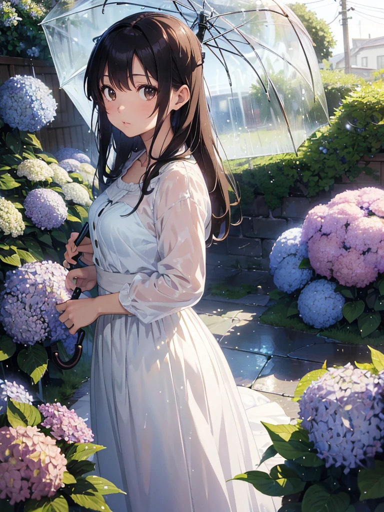 master piece, extremely detailed, high resolution, Makoto Shinkai style, Rainy season weather, Looking up at the sky with a transparent umbrella, Long Straight Hair, Brown Hair, White blouse, Long skirt, Mid-chest, Narrow waist, Glossy, plump lips, Shiny Hair, A background of many blooming hydrangeas
