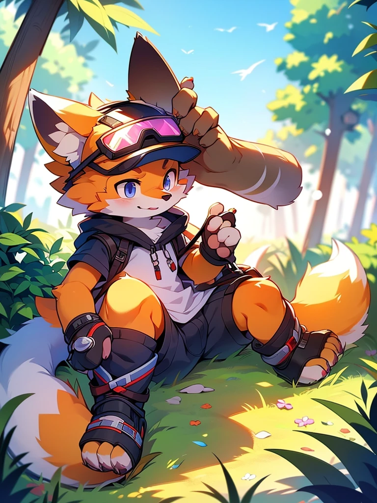 Mammals, Furry, male, alone, wear, visor, summer,Fox