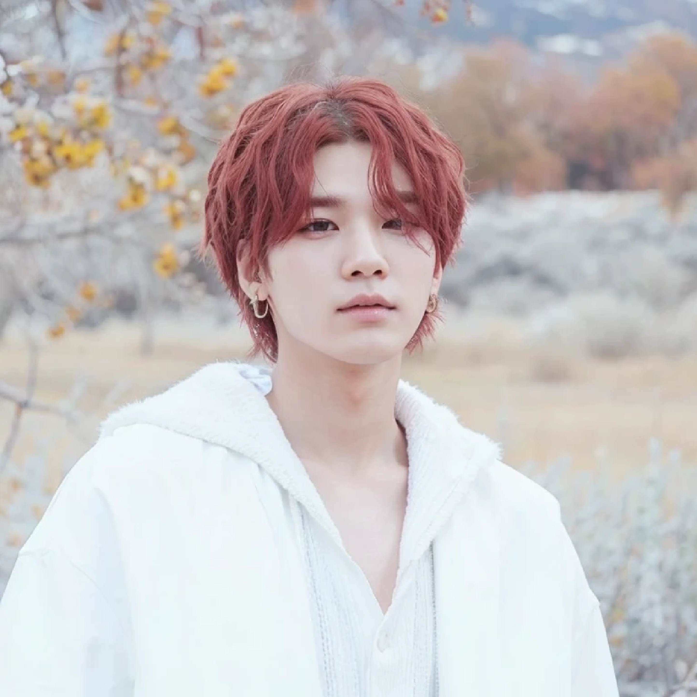 Suga de bts