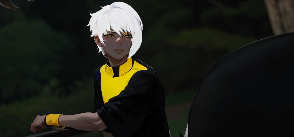 is talking, there are two cute young men of 18 years old, white hair and yellow eyes, they are talking, worried, thoughtful.
