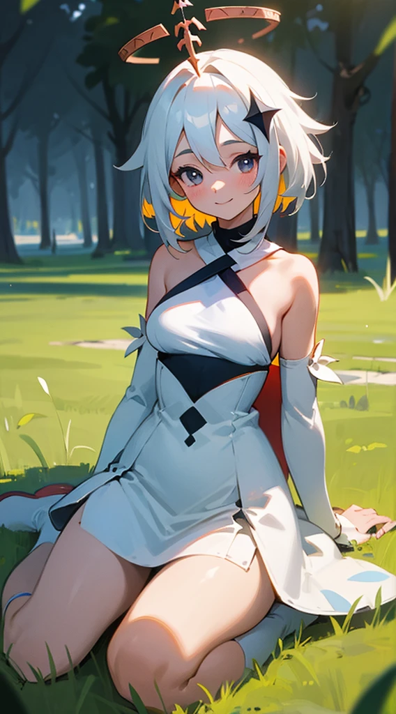 a single girl, the original god, paimon, have a red face, foreground, portrait, Look at the camera, SMILE, Transparent white clothing, medium and exposed breasts, Porn, grass fields, shoulderless dress