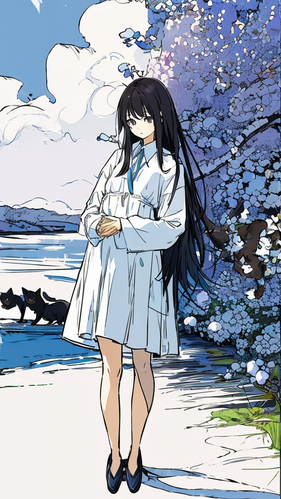 a girls, from above,black hair, cat,long sleeves, long hair,long hair, on back,slippers,blue sky,長い道を歩く