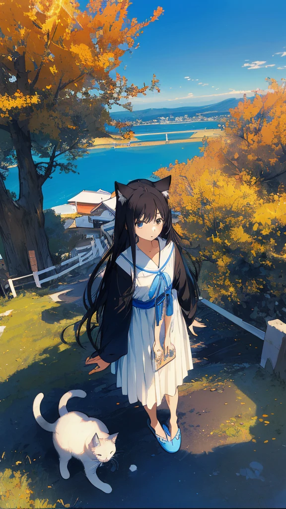 a girls, from above,black hair, cat,long sleeves, long hair,long hair, on back,slippers,blue sky,長い道を歩く