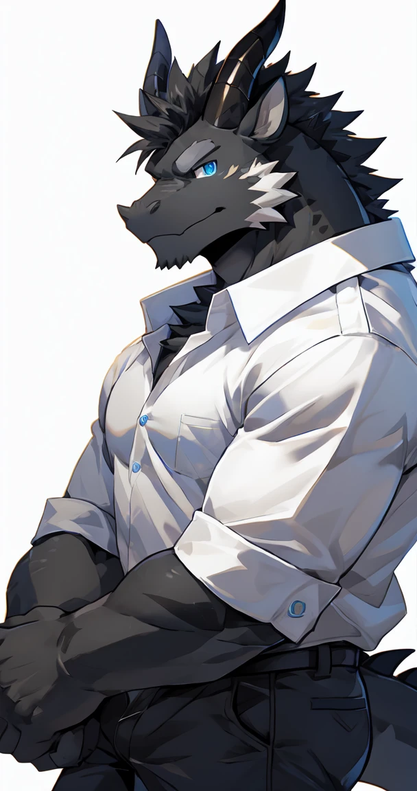 (by sollyz),dragon,white and black body,detail face, detail eyes, detail,male,(white shirt:1.2),nacked,(pants,furry), short hair,(mercenary)
,blue eyes,black body,handsome,simple background,
strong,epic,