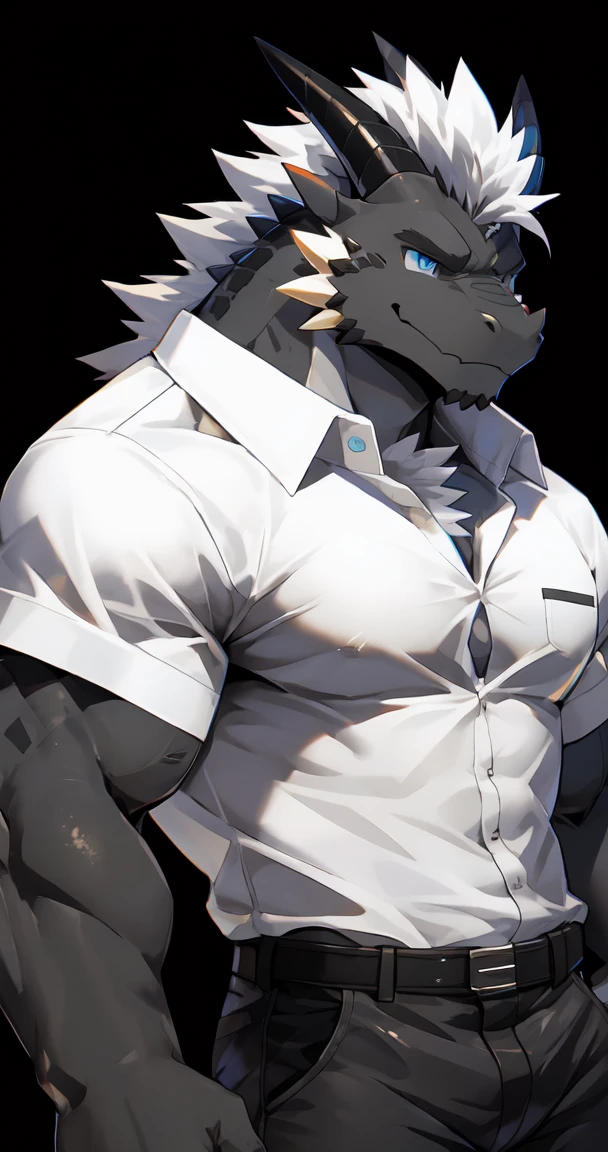 (by sollyz),dragon,white and black body,detail face, detail eyes, detail,male,(white shirt:1.2),nacked,(pants,furry), short hair,(mercenary)
,blue eyes,black body,handsome,simple background,
strong,epic,