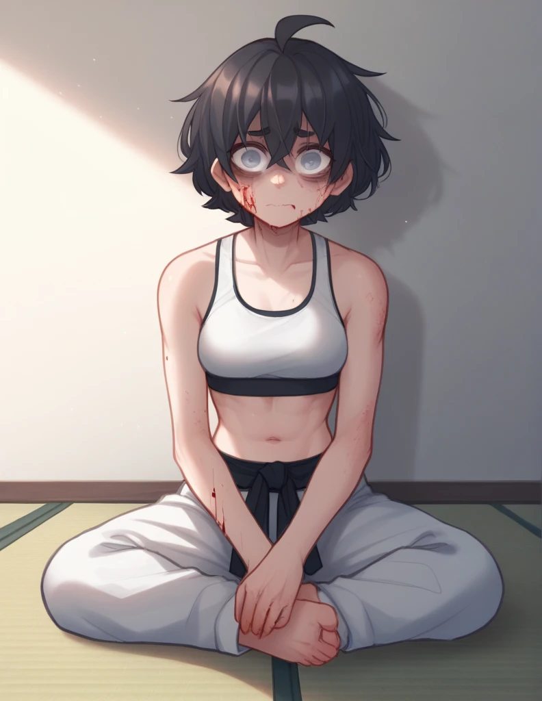 1 girl, alone, ppka, black fur, short hair, messy fur, Ahoge, parts, parts all over the body, grey eyes, blind eyes, kind eyes, very nervous, looking at the viewer,
karate pants, White, sports bra, karate black belt,
sitting on the floor, full of bruises, blood on the cheek, defeated,
Exposed navel, exposed shoulders and arms