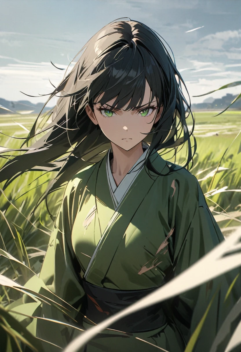 Young woman, perfect anatomic draw, perfect eyes, long black hair, beautiful eyes, straight bangs down, green eyes, beautiful, (green kimono), in the field, torn clouthes, bruseid, serious face, serious woman, wind blowing, 8k, high quality, full HD.