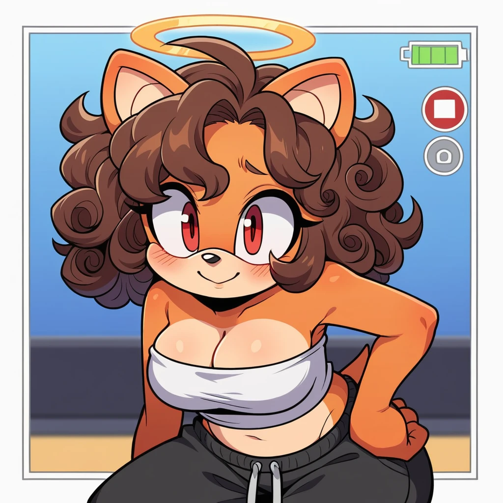 score_9, score_8_up, mobian, solo, hedgehog, two-tone fur ((orange fur, brown fur)), strapless crop top, baggy pants, cleavage, two-tone hair (brown hair, black tip)), curly hair, halo, sunglasses, jewelry, red eyes, longeyelashes, red eyes, smile, shy, blush,  framed, stereogram, image fill, viewfinder, depth of field, high details