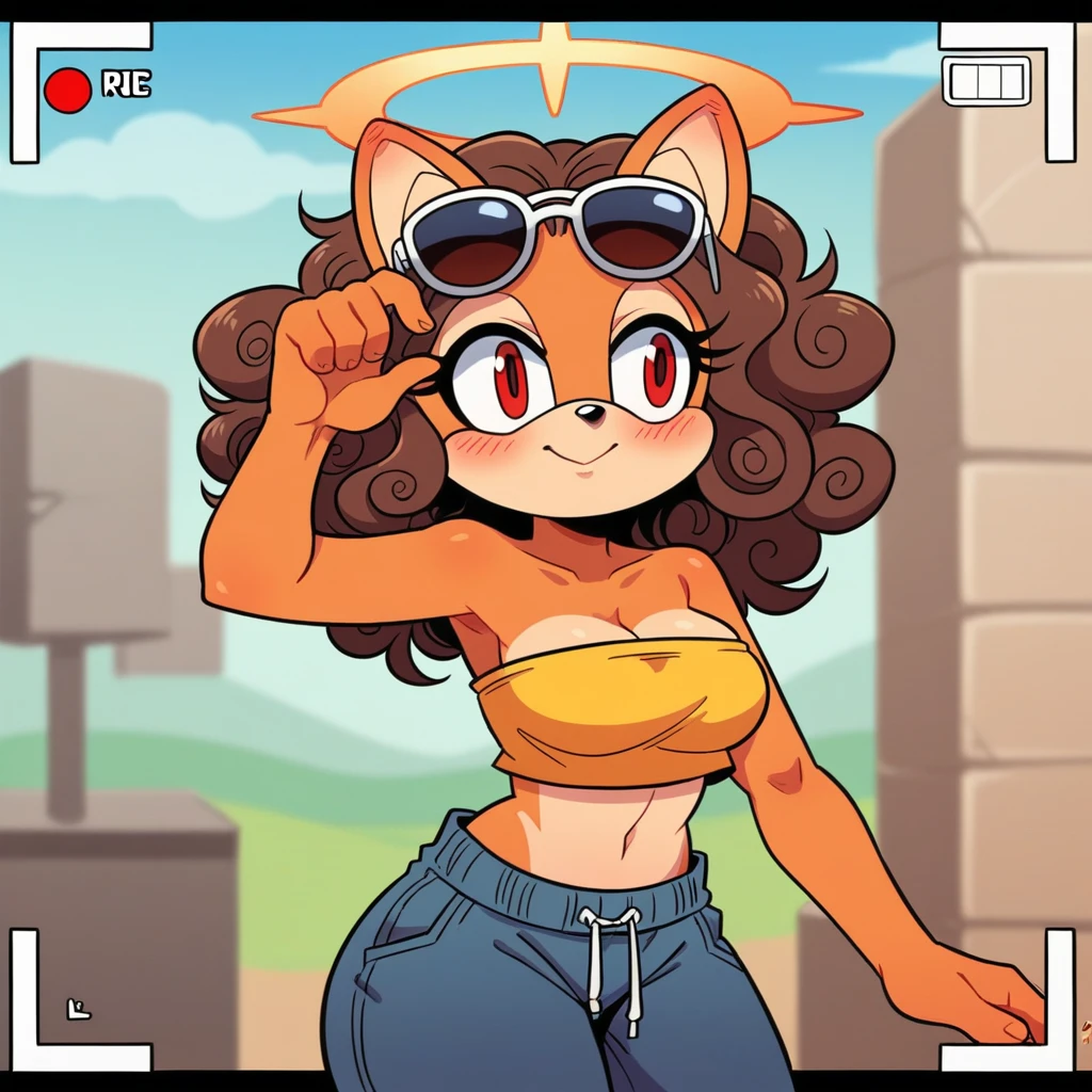 score_9, score_8_up, mobian, solo, hedgehog, two-tone fur ((orange fur, brown fur)), strapless crop top, baggy pants, cleavage, two-tone hair (brown hair, black tip)), curly hair, halo, sunglasses, jewelry, red eyes, longeyelashes, red eyes, smile, shy, blush, framed, stereogram, image fill, viewfinder, depth of field, high details