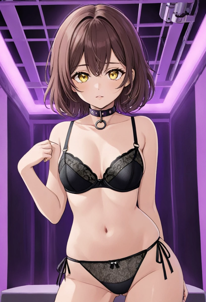 a one woman, wearing only a black bra, and a pair of black Cortinha thong panties and a collar, in a whorehouse full of purple lights, with brown hair and yellow eyes