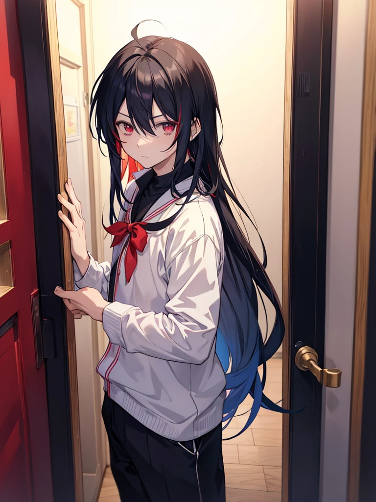 anime boy in front of a door, anime visual of a cool boy, , cool anime boy, an anime boy, by Jin Homura, anime best boy, anime boy with long hair, one red eye, one gold eye, high res, yandere vibes, black hair, red tips